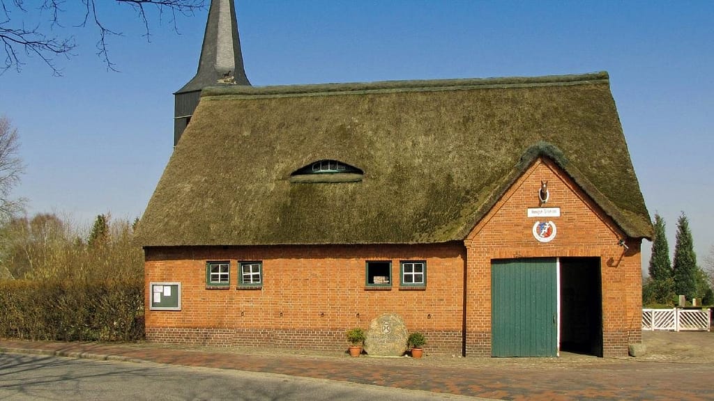 Contendro I the beautiful holsteiner stallion, Contender ad Haselau