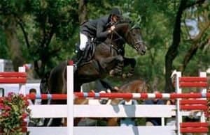 burggraaf stallone holstein figlio