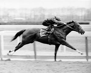 Secretariat Big Red