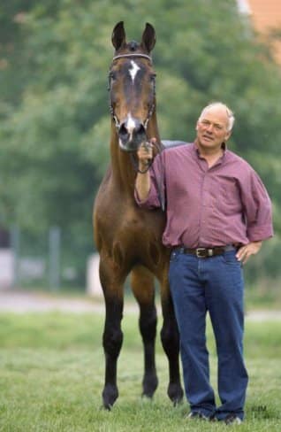 Nimmerdor: the stallion that started it all