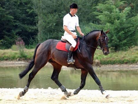 Landor S e L’Arc de Triomphe