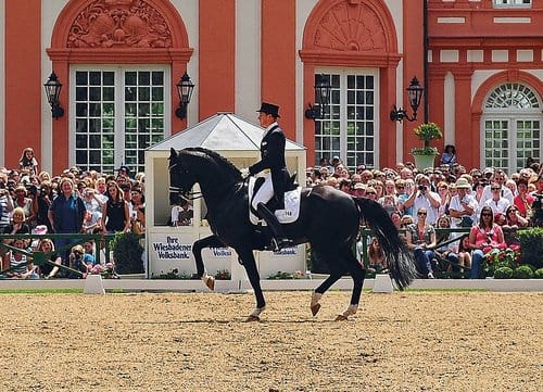 Totilas and Matthias Alexander Rath - Pentecost Tournament Wiesbaden - June 11, 2011 - Special Grand Prix (c) Photo: Jan Reumann