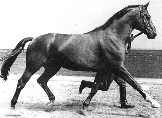 grandfather weltmeyer