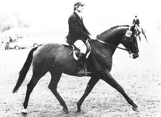 LORD dressage