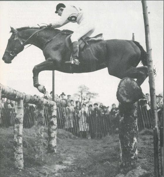 Lana Dupont Wright : Iron Lana