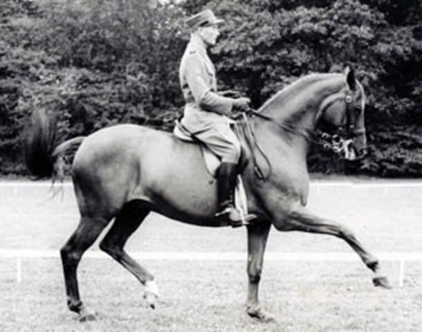 Henri e Wolfdietrich