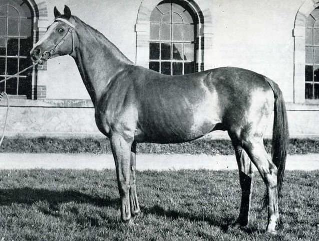 rantzau PADRE DI COR DE LA BRYERE