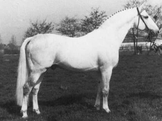 raimond padre di ramiro