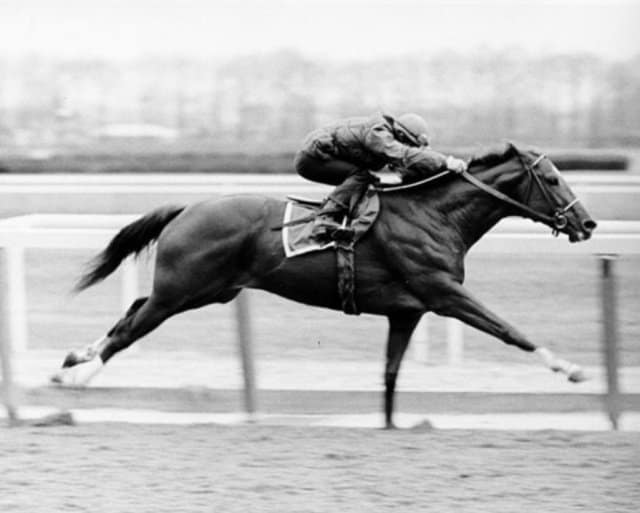 Secretariat Big Red