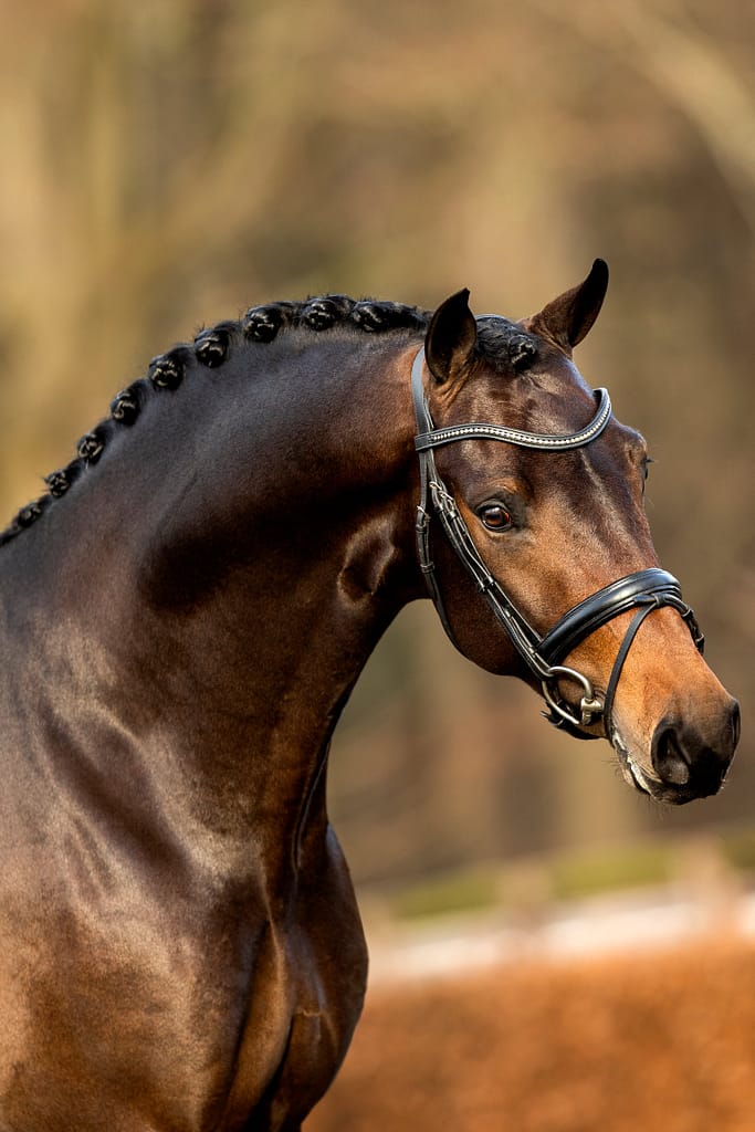 Florida tn primo piano